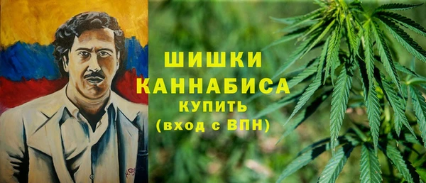 PSILOCYBIN Абдулино